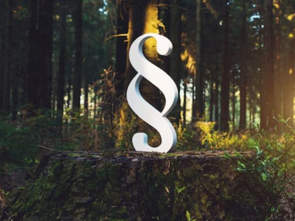 Veřejné instituce a střet zájmů při kácení dřevin dle Ministerstva ŽP