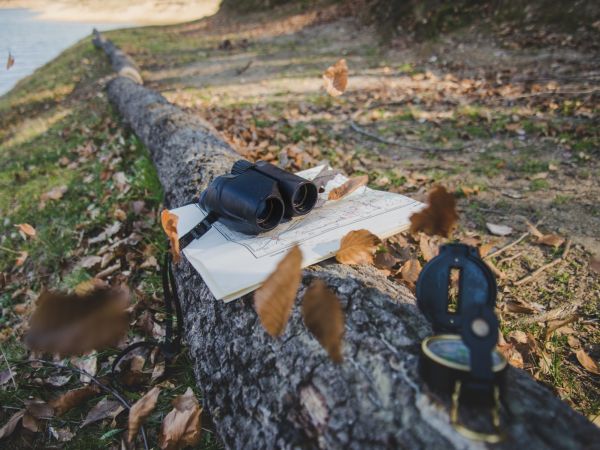 Dendrologický průzkum: klíčový podklad pro obce, investory a projektanty