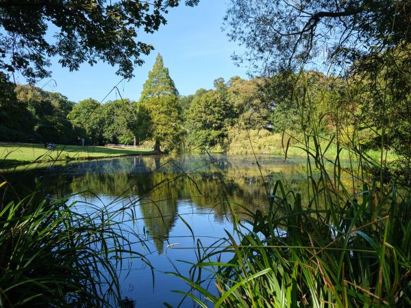 Voda v krajině: klíčový prvek biodiverzity a udržitelnosti