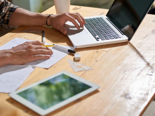 Plán péče o dřeviny: základ systematické správy zeleně