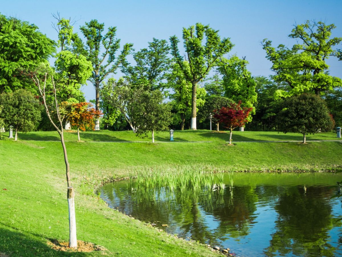 Arboristika
